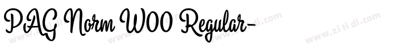 PAG Norm W00 Regular字体转换